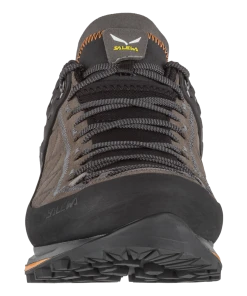 Salewa Mountain Trainer 2 Walnut Footwear