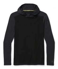 Smartwool Clothing Merino 250 Base Layer Hoodie Men's