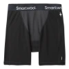 Smartwool Clothing Merino Sport 250 Wind Boxer Brief Men's
