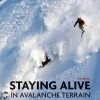Mountaineers Books Gear Staying Alive In Avalanche Terrain